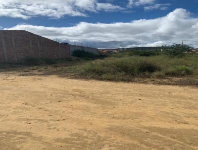 Terreno para Venda, em , bairro Jardim Primavera