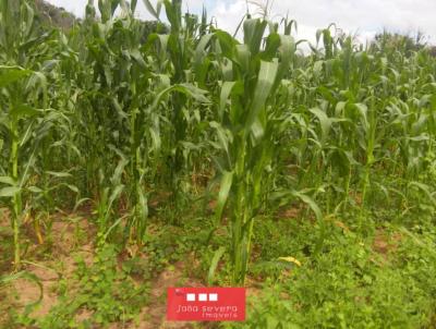 Fazenda para Venda, em So Braz do Piau, bairro 