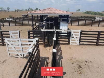 Fazenda para Venda, em Nova Mamor, bairro 