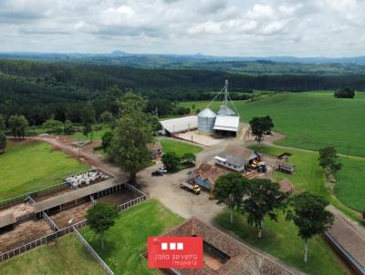 Fazenda para Venda, em Bandeirantes, bairro , 11 dormitrios