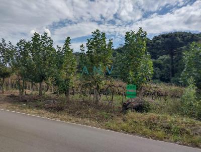 rea para Venda, em Caxias do Sul, bairro Loreto