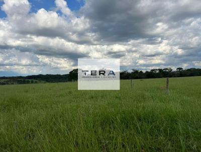 Fazenda para Venda, em Bela Vista de Gois, bairro Zona Rural