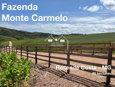 Fazenda para Venda, em Resende Costa, bairro Zona Rural