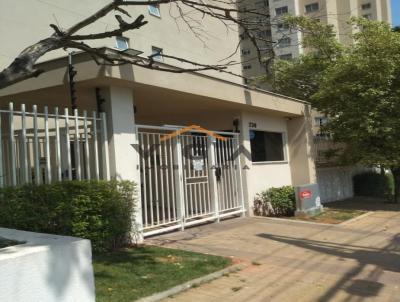 imagem-miniatura