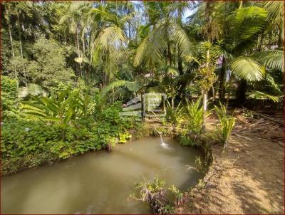 Terreno para Venda, em Guaramirim, bairro Vila Amizade