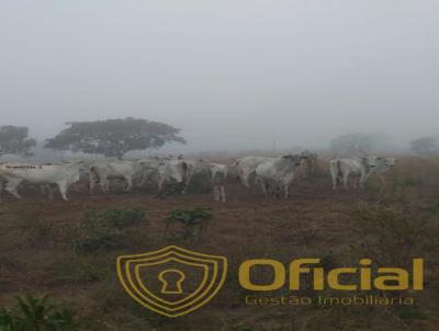 Stio para Venda, em Juscimeira, bairro Juscimeira