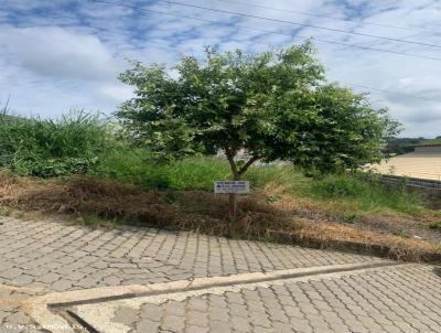 Terreno para Venda, em Cataguases, bairro Imigrantes