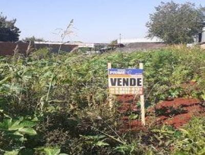 Terreno para Venda, em Marechal Cndido Rondon, bairro Bairro Vila Gacha.