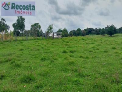 Stio para Venda, em Trs Coroas, bairro RODEIO BONITO