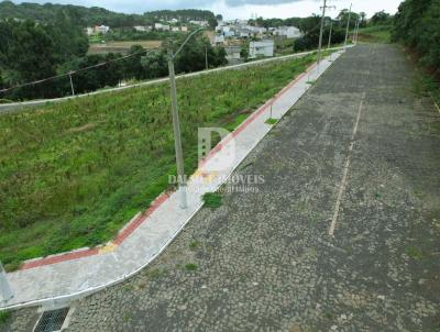 Terreno para Venda, em Erechim, bairro Novo atlntico