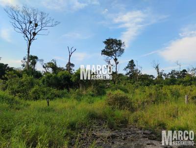 Terreno para Venda, em Balnerio Barra do Sul, bairro Salinas