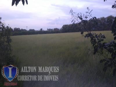 Chcara para Venda, em Avar, bairro RURAL