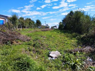 Terreno para Venda, em So Francisco de Paula, bairro Santa Isabel