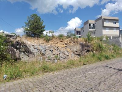 Terreno Urbano para Venda, em Caxias do Sul, bairro Nossa Senhora das Graas