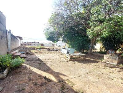 Terreno para Locao, em So Jos do Rio Preto, bairro Boa Vista