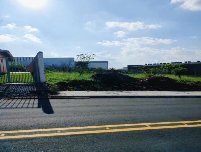 Terreno para Venda, em Bragana Paulista, bairro Centro Industrial Rafael Diniz -PENHA