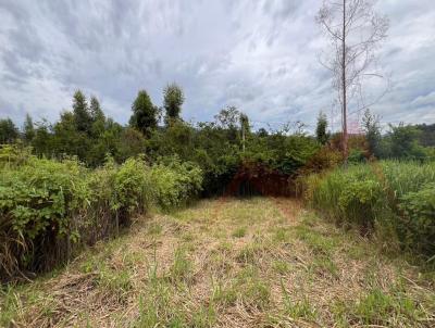 Lote para Venda, em Baro de Cocais, bairro Cidade Nova