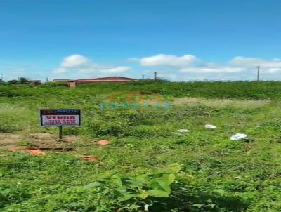 Terreno para Venda, em Tibau, bairro .