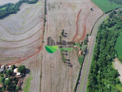 Stio para Venda, em Londrina, bairro Rural