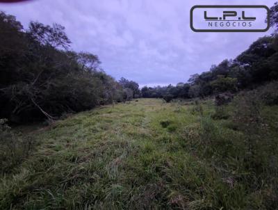 Chcara para Venda, em Rio Bonito do Iguau, bairro .