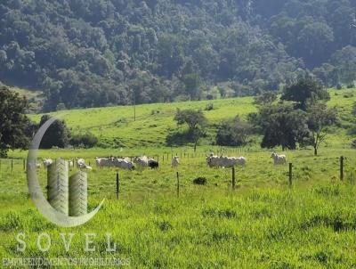 Fazenda para Venda, em Brotas, bairro zona rural, 6 dormitrios, 6 banheiros, 1 sute, 3 vagas