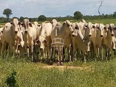 Fazenda para Venda, em Jaba, bairro ZONA RURAL