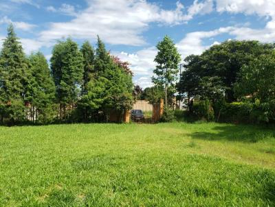 Chcara para Venda, em Sumar, bairro Chcara Primavera, 3 dormitrios, 2 banheiros, 1 sute, 10 vagas