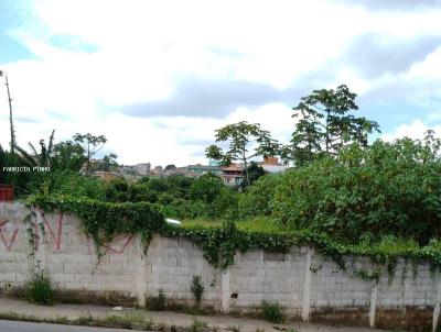 Terreno para Venda, em Ferraz de Vasconcelos, bairro Vila Nova