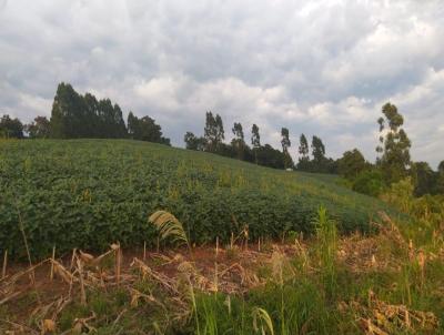 rea Rural para Venda, em Chapec, bairro Linha Alto da Serra