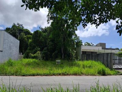 Terreno para Venda, em Barra Velha, bairro QUINTA DOS AORIANOS