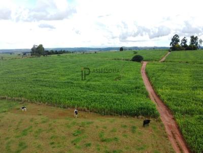 Fazenda para Venda, em , bairro ZONA RURAL, 3 dormitrios, 1 banheiro, 3 vagas