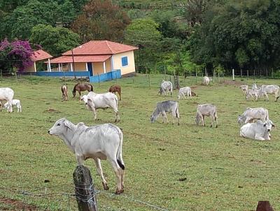 Fazenda para Venda, em Carmo de Minas, bairro area rural, 2 dormitrios, 1 banheiro, 1 sute, 1 vaga