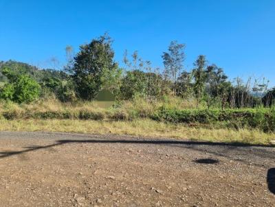 Terreno para Venda, em Concrdia, bairro Naes