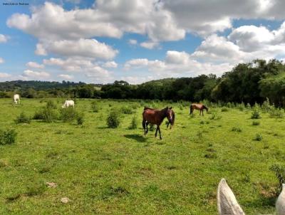 Fazenda para Venda, em Carmo de Minas, bairro area rural