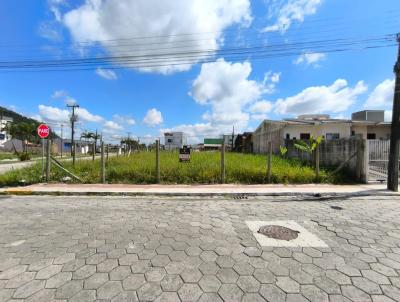 Terreno para Venda, em Itaja, bairro Santa Regina