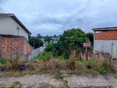 Terreno para Venda, em Jaguariava, bairro VILA SO LUIZ