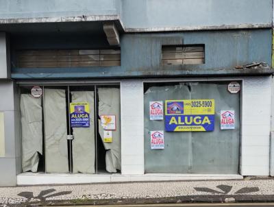 Comercial para Locao, em Ponta Grossa, bairro Centro