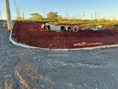 Terreno para Venda, em Santa Rosa, bairro Amrica