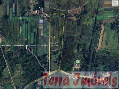 rea para Venda, em Suzano, bairro Ipelndia
