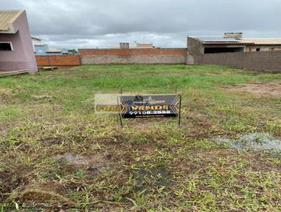 Terreno para Venda, em So Borja, bairro Bettin