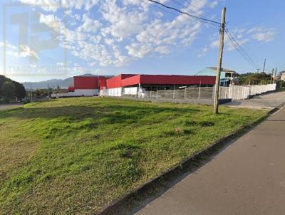 Terreno para Venda, em Sapiranga, bairro Amaral Ribeiro