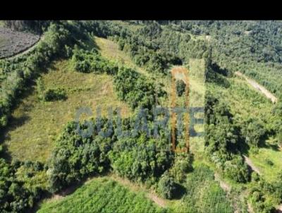 Fazenda para Venda, em Fontoura Xavier, bairro Distrito