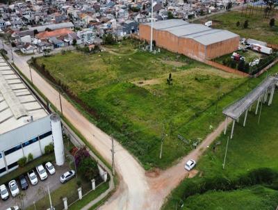 Terreno para Venda, em Curitiba, bairro Stio Cercado