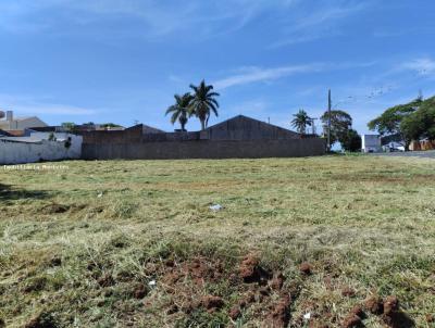 Terreno para Venda, em Ponta Por, bairro Vila Vitria
