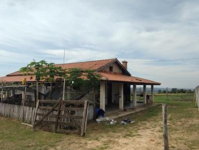 Stio para Venda, em Santa Cruz da Conceio, bairro Zona Rural