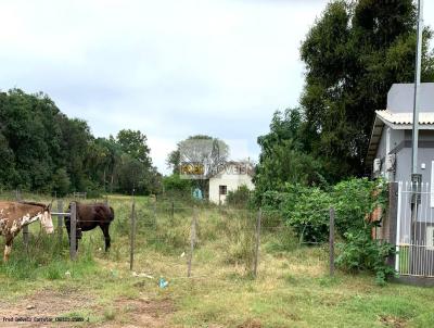 Terreno para Venda, em So Borja, bairro Maria do carmo