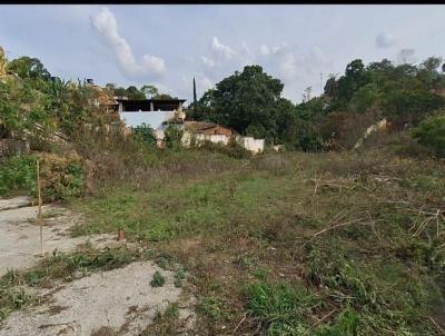 Terreno para Venda, em Belo Horizonte, bairro Solimes