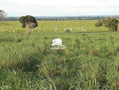 Fazenda para Venda, em Gurupi, bairro rea rural com expanso consolidada