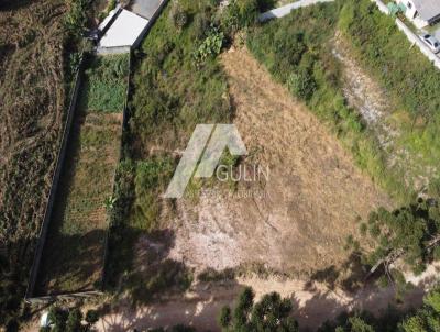 Lote para Venda, em Campo Magro, bairro Centro