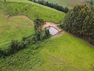 Terreno para Venda, em Senador Amaral, bairro 